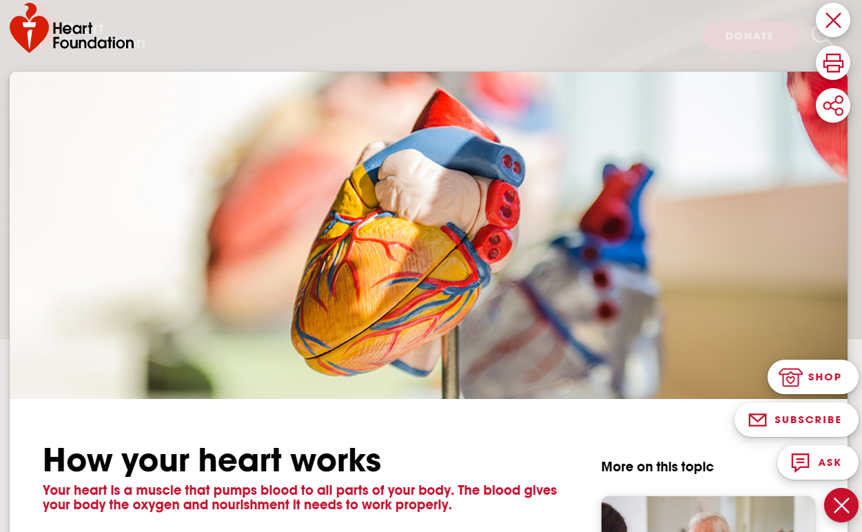 Image of Heart Foundation landing page for how your heart works